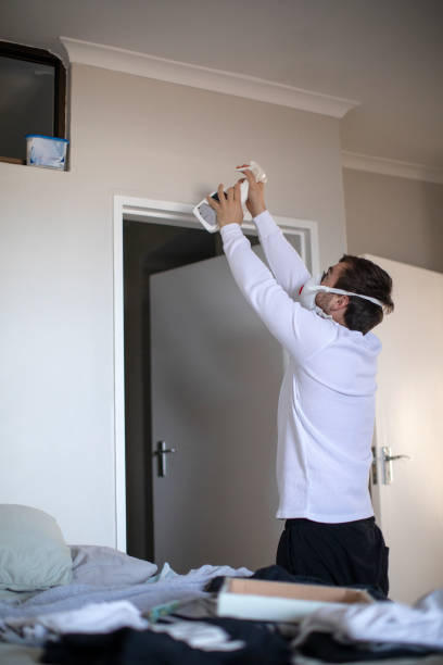 Best Mold Remediation for Healthcare Facilities  in Lanett, AL