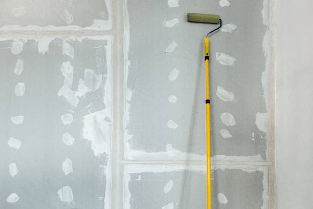 Trusted Lanett, AL Mold Removal Experts