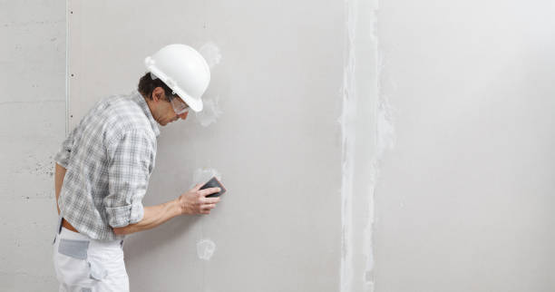 Trusted Lanett, AL Mold Removal Experts