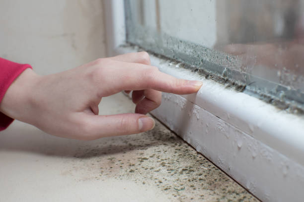 Best Indoor Air Quality Assessment  in Lanett, AL