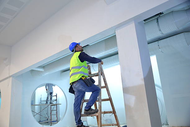 Best Biohazard Mold Removal  in Lanett, AL