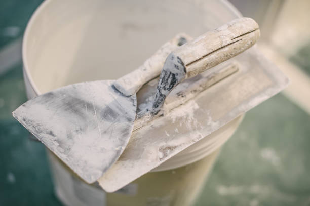 Best Mold Removal for HVAC Installations  in Lanett, AL
